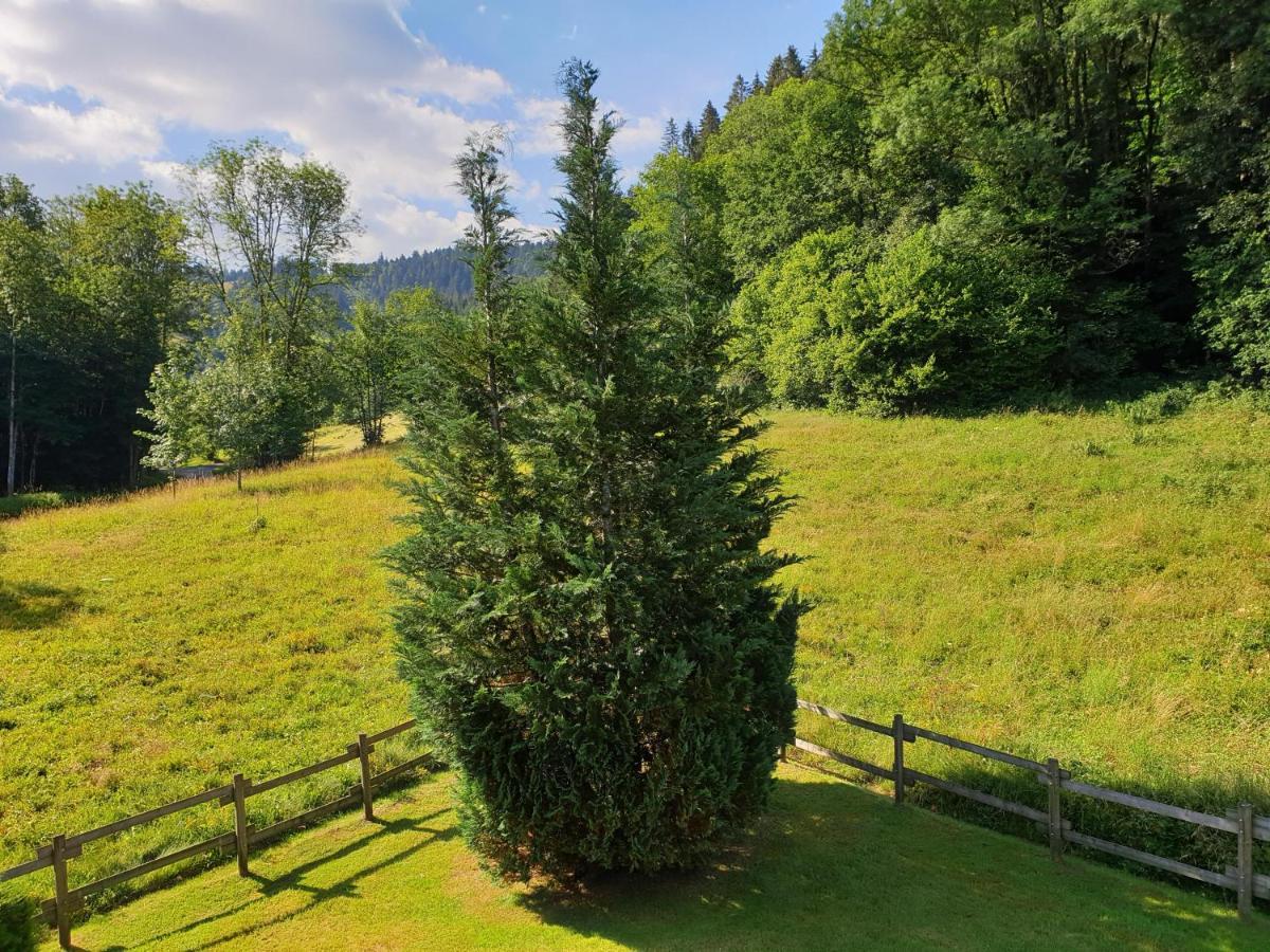 Le Bois Joli 4 Etoiles Cledicihome Cadre Paisible En Lisiere De Foret *