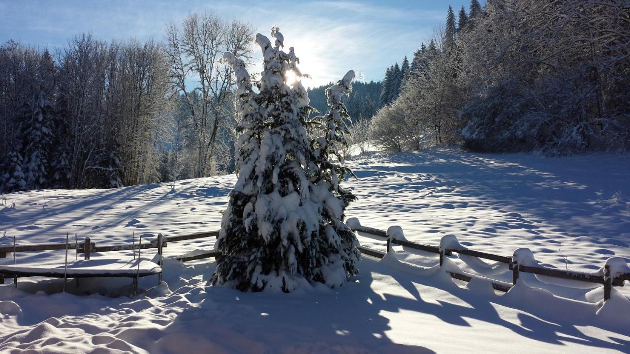 Chalet Le Bois Joli 4 Etoiles Cledicihome Cadre Paisible En Lisiere De Foret *