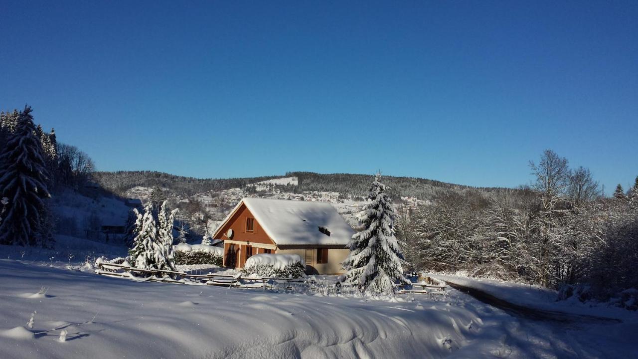 Le Bois Joli 4 Etoiles Cledicihome Cadre Paisible En Lisiere De Foret Chalet Gerardmer